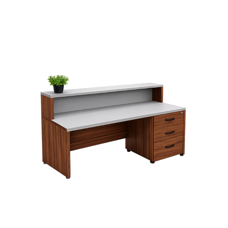 RECEPCIÓN NÁPOLES - Image 3
